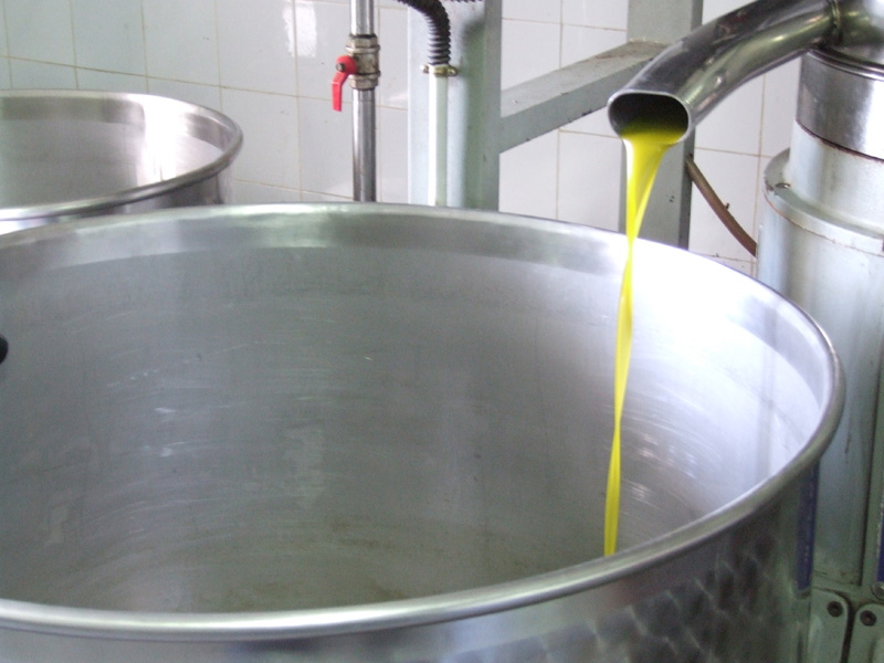 Frantoio tradizionale con degustazione