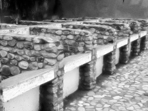 Sentiero tra gli ulivi