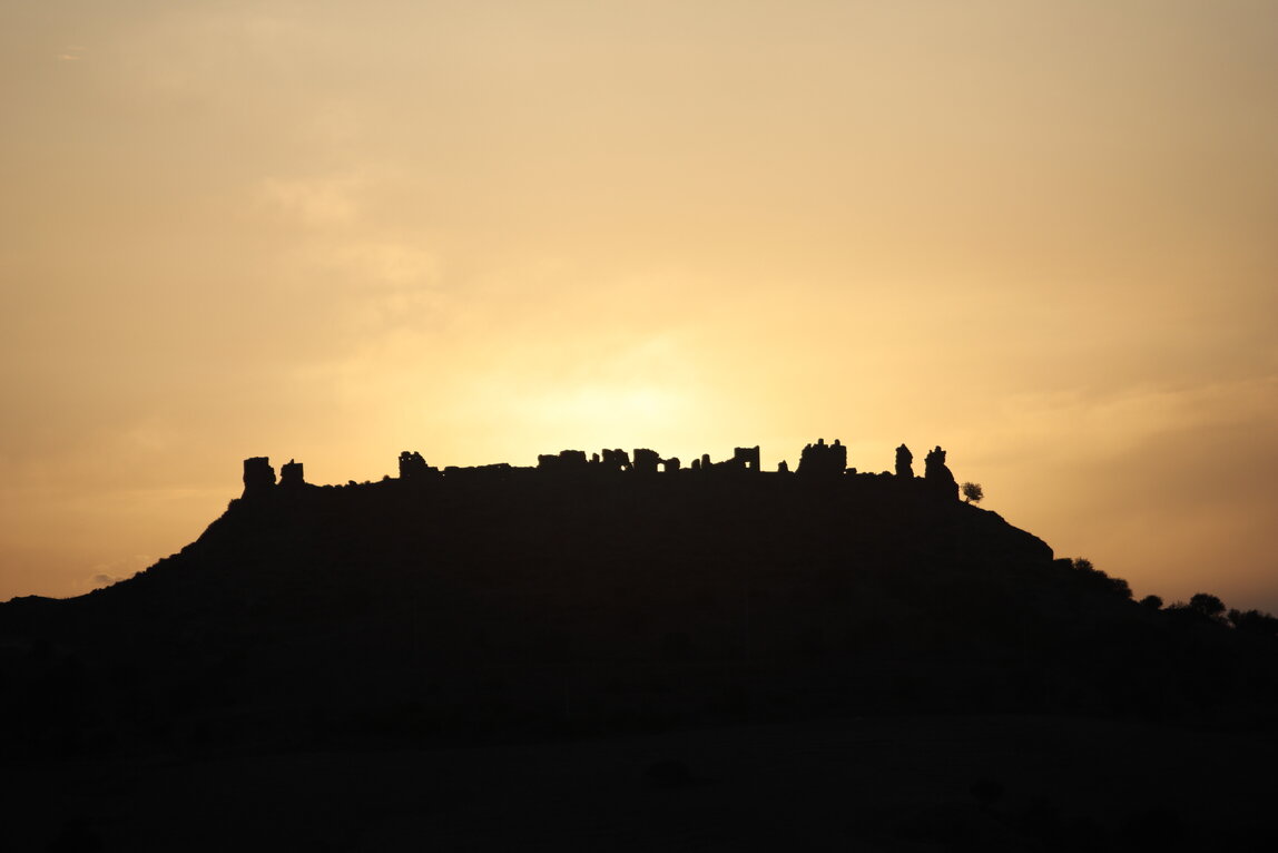 Belvedere su colline e uliveti